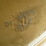 The Effect of Damp on Painted Surfaces - damp salt efflorescence 300x224