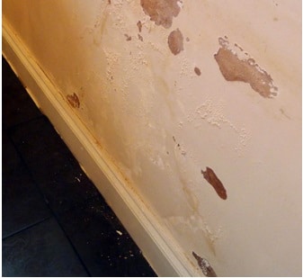 Damp Walls: Causes and Remedies - Kraudelt Painting